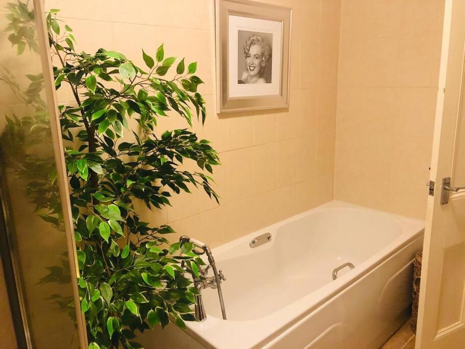 Ilkley Garden Suite Eksteriør billede
